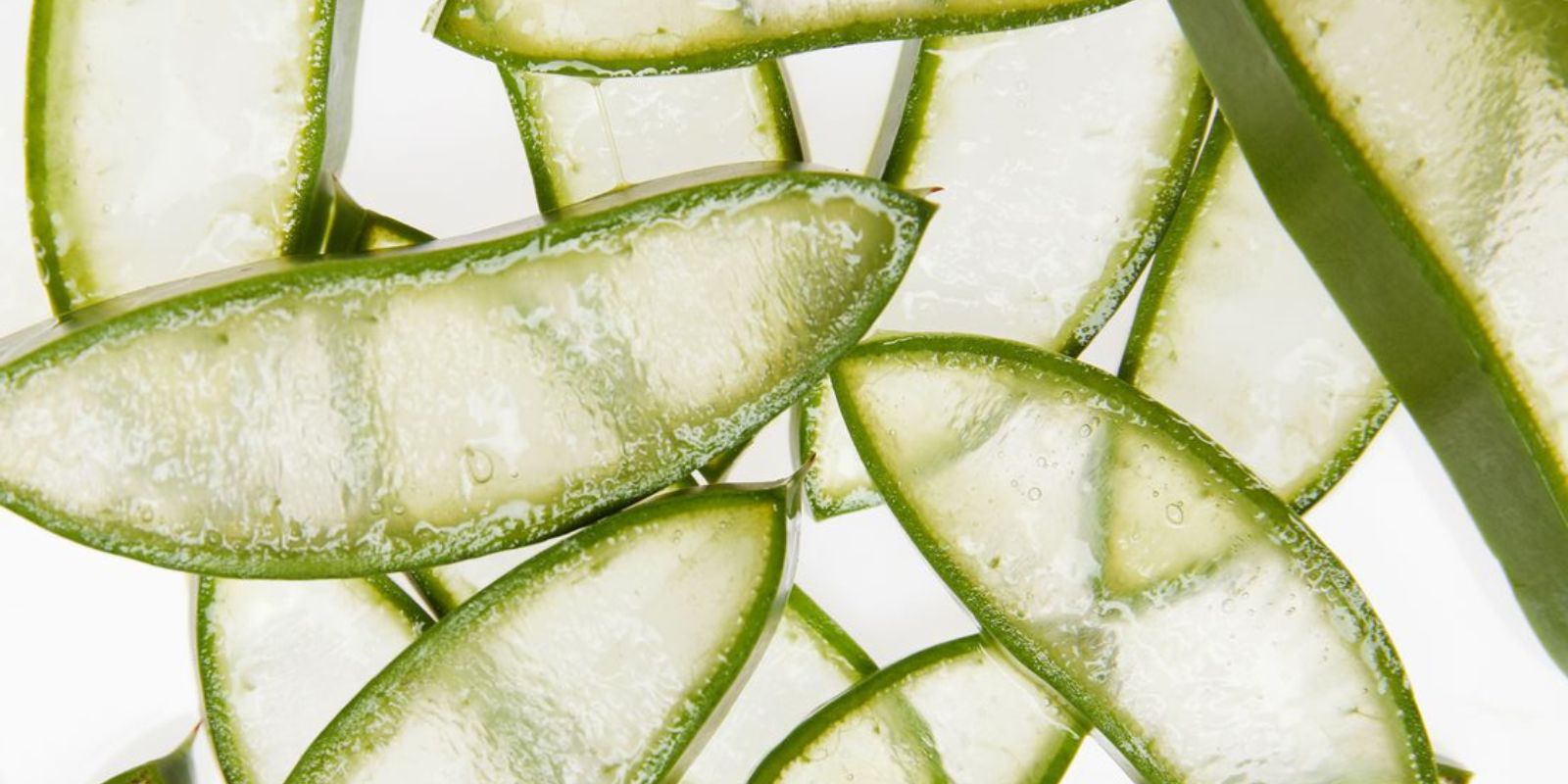 Aloe Vera: The Essential Ingredient for Calming and Effective Formulas